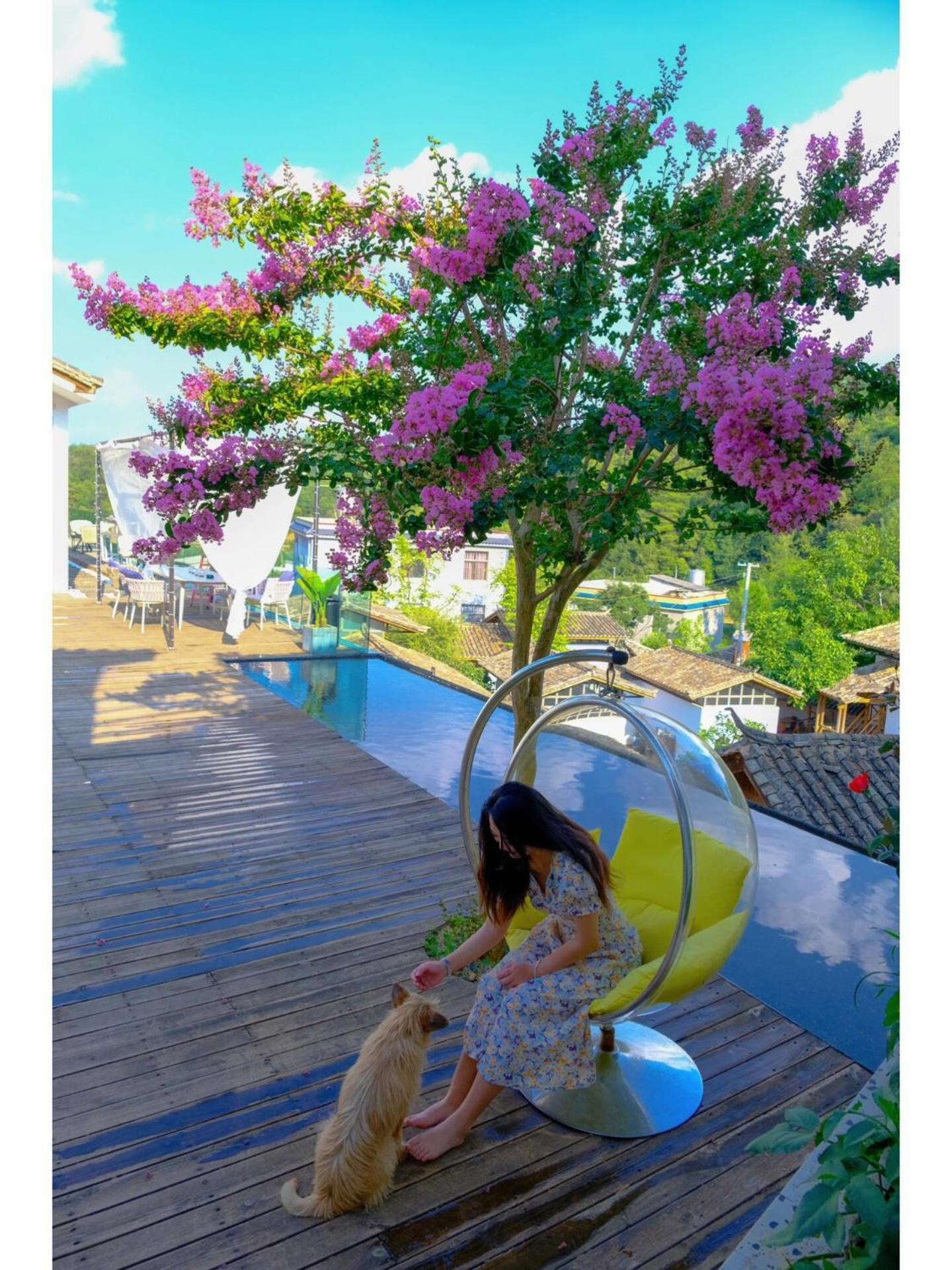 No Flowers Boutique Hostel คุนหมิง ภายนอก รูปภาพ